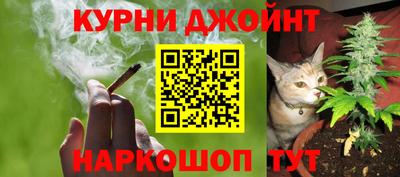 PSILOCYBIN Можайск