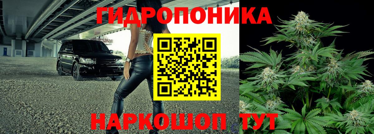 Бошки Шишки OG Kush  Конопля семена  Вход с VPN  Верхняя Салда 